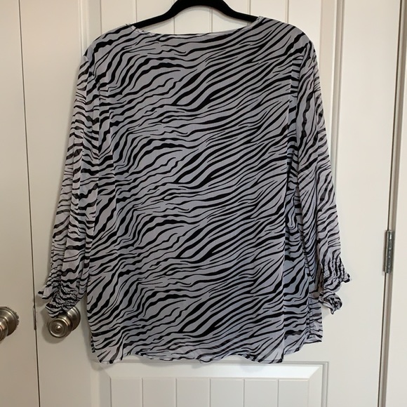 Animal Print. Zebra.  Sequins. Tunic. Fall - Picture 6 of 16